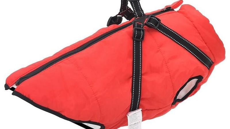 水冷式冷水机组：变频与定频的差异化解析